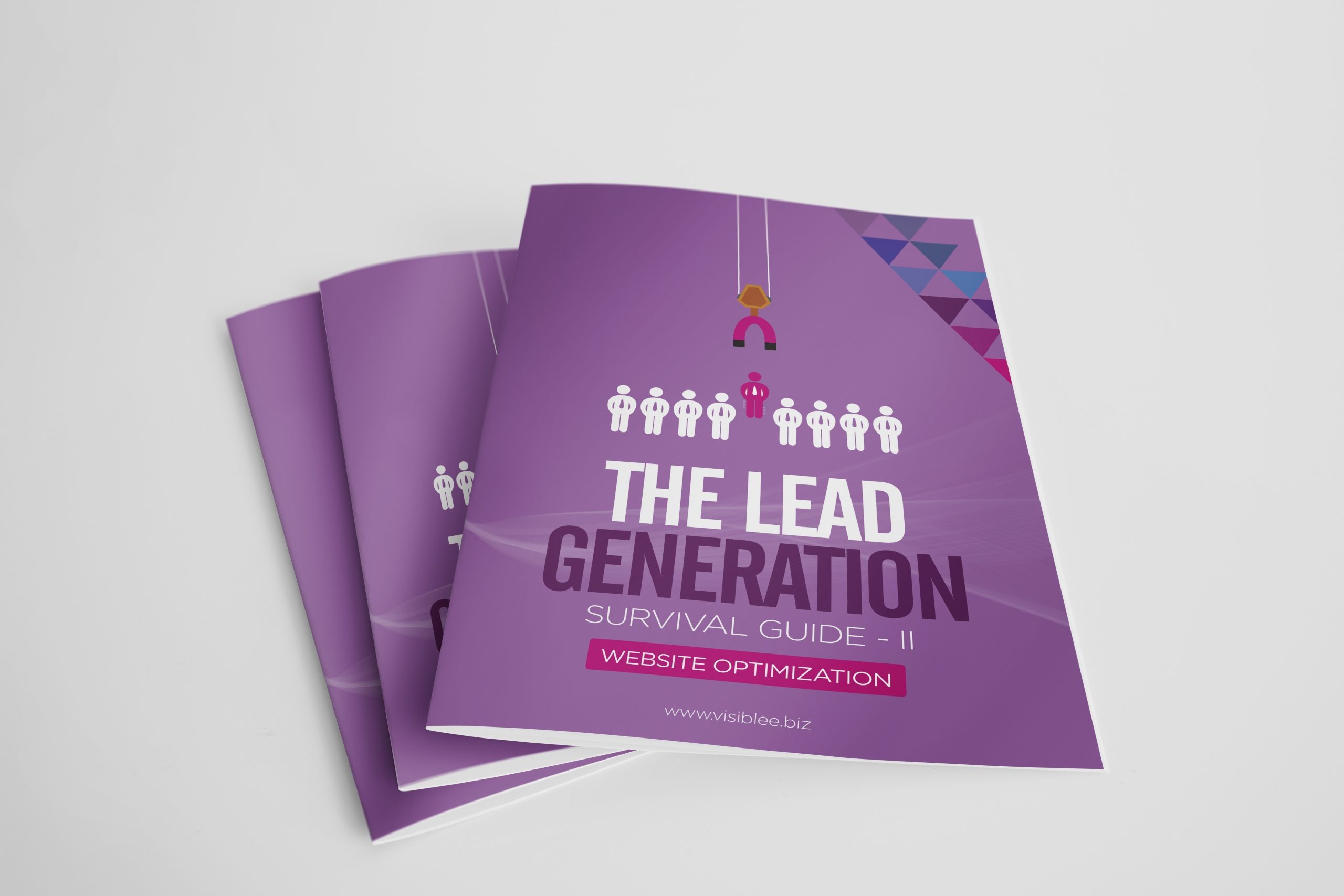 The Lead Generation Survival Guide II : Website Optimization