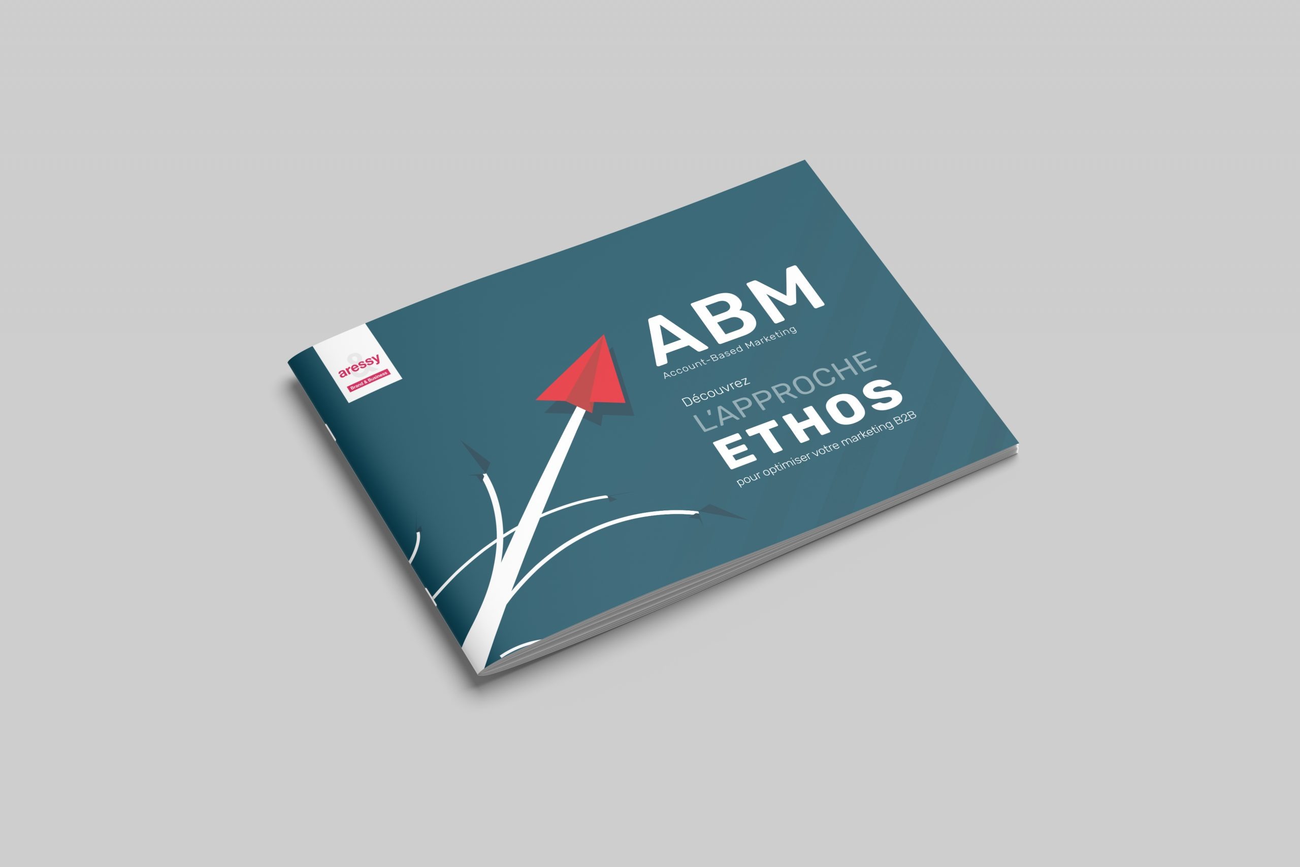 ABM : Découvrez Ethos pour optimiser votre marketing BtoB